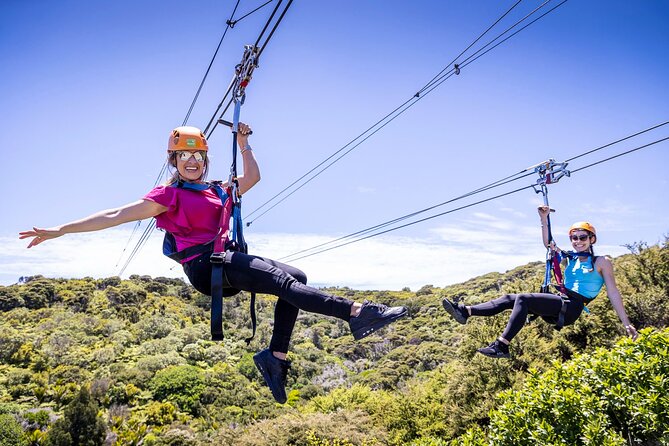 Waiheke Island: Zipline And Forest Walk - Quick hits