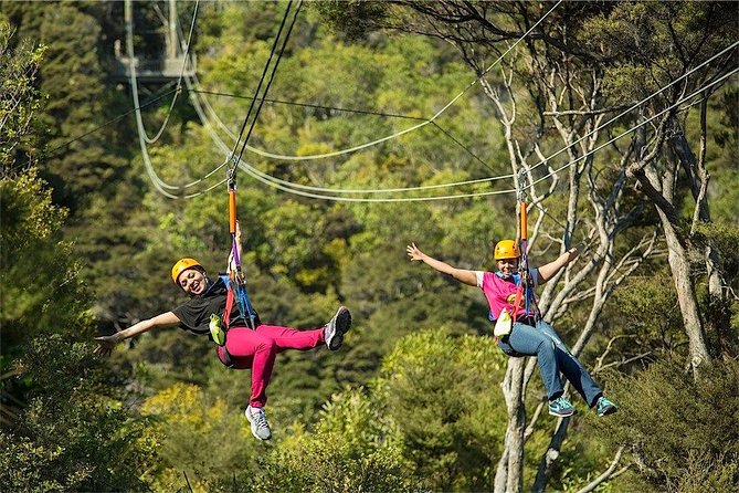 Waiheke Island: Zipline And Forest Walk - Three Zipline Flights Over the Hauraki Gulf