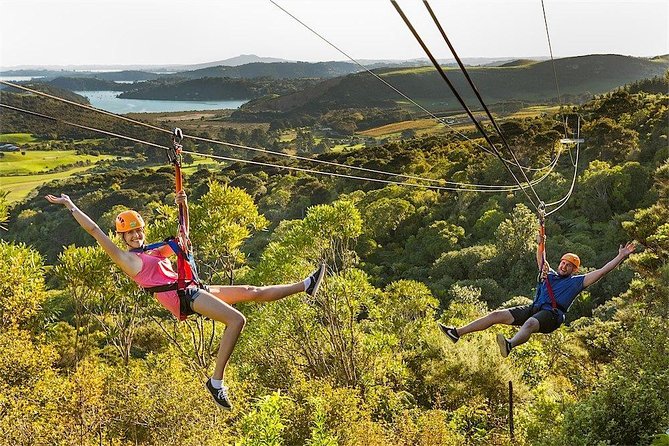 Waiheke Island: Zipline And Forest Walk - The Gentle-but-Not-Flat Forest Walk Back