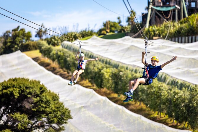 Waiheke Island: Zipline And Forest Walk - Weather, Heights, and the Risk Reality Check