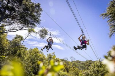 Waiheke Island: Zipline and Native Forest Adventure Trip - Gear-up and safety: what you’re actually signing up for