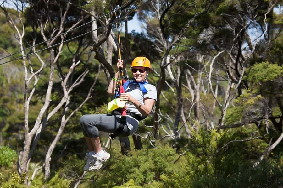 Waiheke Island: Zipline and Native Forest Adventure Trip - The Waiheke mini-tour: how to use it without falling into tourist autopilot