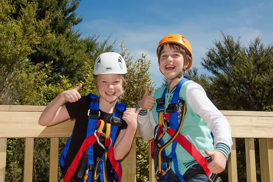Waiheke Island: Zipline and Native Forest Adventure Trip - Who should book this, and who should skip it