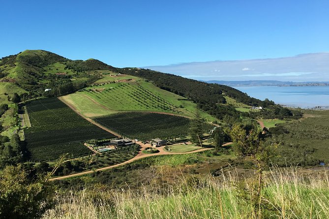 Waiheke Wine and Dine - Batch Winery - Price and Value: Is $98.67 Worth It?