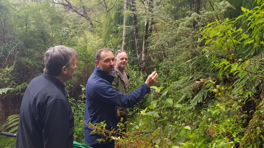 Waitakere Ranges Wilderness Experience Tour from Auckland - The ridge stops: ocean views and Maori carvings