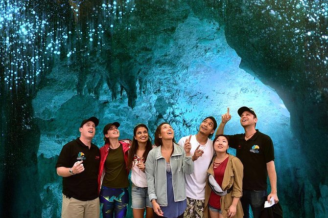 Waitomo Caves & Hobbiton Small Group Tour inc Lunch from Auckland - Value and timing: is $235.20 worth it from Auckland?