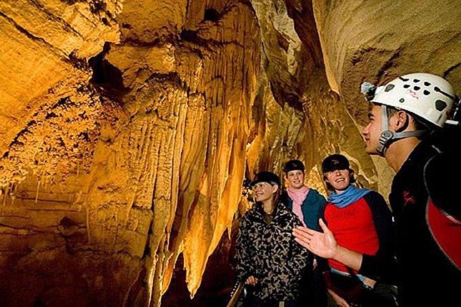 Waitomo Caves Private Driver for Tour - Private door-to-door transport from Auckland (hotel or port)