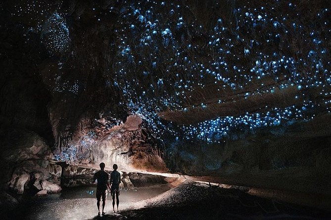 Waitomo Caves Private Tour from Auckland - From Auckland to Waitomo: a full-day plan that still feels easy
