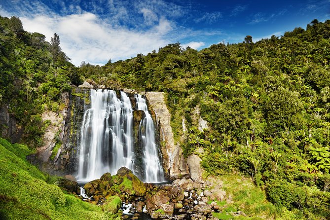 Waitomo Caves Private Tour from Auckland - What the guide does well (especially with Bob)