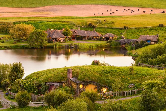 Waitomo Caves Private Tour from Auckland - Booking and what can disrupt a cave day (weather and road closures)