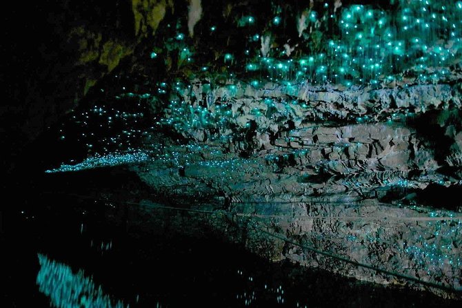Waitomo Caves Private Tour from Auckland - Who this Auckland-to-Waitomo private tour fits best