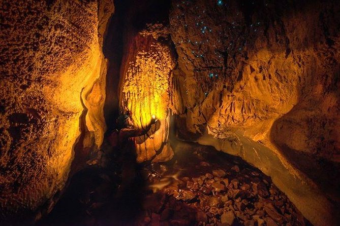 Waitomo Caves Private Tour from Auckland - Your first taste of glowworms: the 45-minute guided cave walk