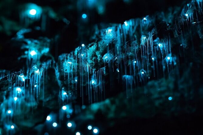 Waitomo Glow Worm Caves - Timing and Pacing: Why a 7-Hour Day Can Still Feel Worth It