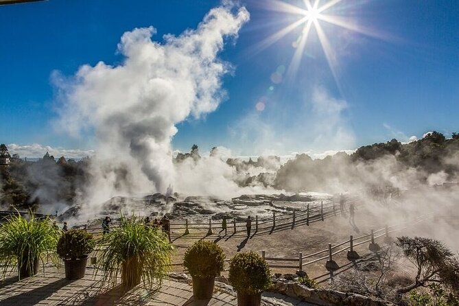 Waitomo Glow Worm Caves & Te Puia - Rotorua's Geothermal Valley - Key highlights you’ll actually care about