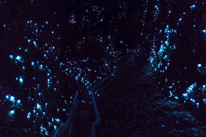 Waitomo Glowworm Caves In a Private Small Group Tour-Auckland. - Inside the caves: two levels, Catacombs, and the Cathedral
