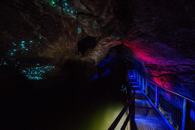 Waitomo Glowworm & Ruakuri Twin Cave Experience - Small Group Tour From Auckland - Key things to know before you go