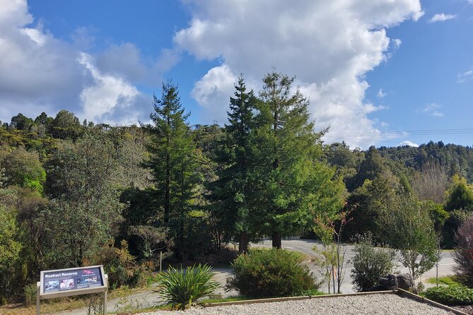 Waitomo Glowworm & Ruakuri Twin Cave Experience - Small Group Tour From Auckland - Price and value: why this combo is often worth it