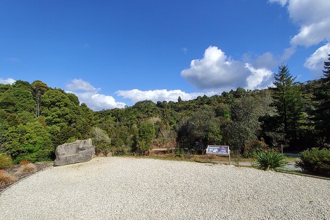 Waitomo Glowworm & Ruakuri Twin Cave - Private Tour From Auckland - Ruakuri Cave: a longer guided walk and time to shoot photos