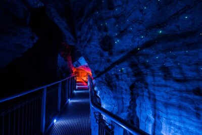 Waitomo Glowworm & Ruakuri Twin Cave - Private Tour From Auckland - The road stops that make the long day easier