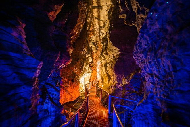 Waitomo Glowworm & Ruakuri Twin Cave - Private Tour From Auckland - Price and logistics: what you’re paying for