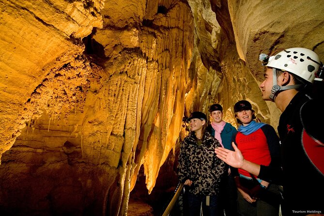 WAITOMO - Twin Caves Discovery - Private Day Tour from Auckland - The 6:00am Departure: How the Drive Sets the Tone