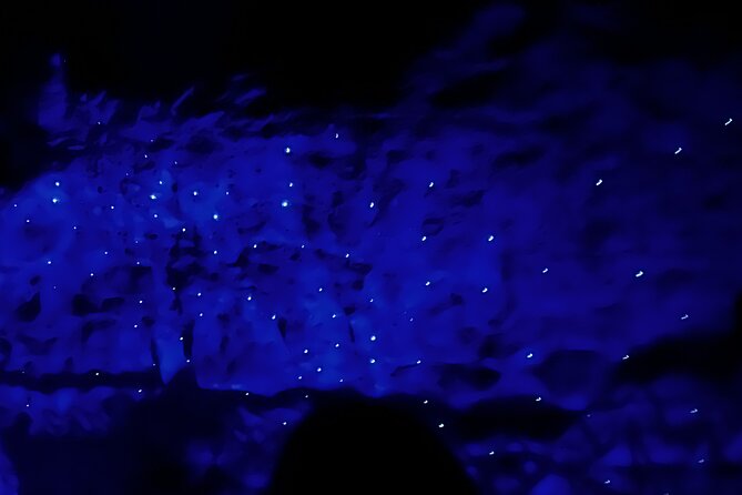 WAITOMO - Twin Caves Discovery - Private Day Tour from Auckland - Glowworm Cave: Cathedral Acoustics and a Silent Grotto Ride