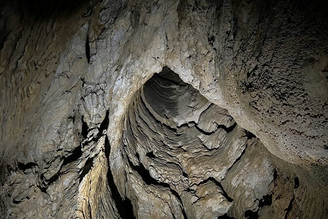 WAITOMO - Twin Caves Discovery - Private Day Tour from Auckland - Waitomo Homestead Stop: A Practical Reset Between Caves