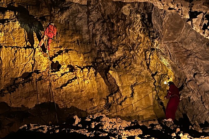 WAITOMO - Twin Caves Discovery - Private Day Tour from Auckland - Ruakuri Cave: Spiral Entrance and Glowworms Up Close