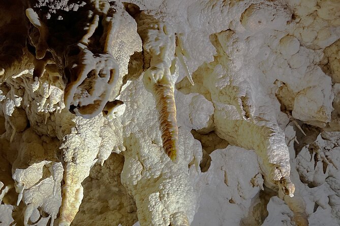 WAITOMO - Twin Caves Discovery - Private Day Tour from Auckland - Mercer and the Waikato River: Finishing With Real North Island Scale
