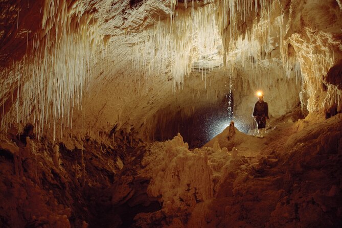 WAITOMO - Twin Caves Discovery - Private Day Tour from Auckland - Taupiri and Hangatiki: Small Stops That Break Up the Long Day