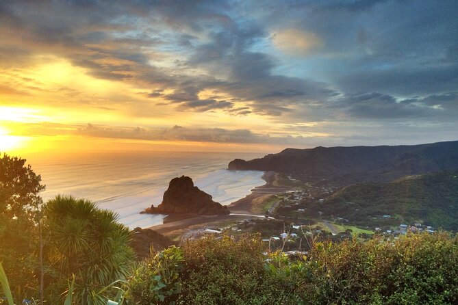 West Coast Discovery Piha Beach Private Tour - Best Time to Go, What to Pack, and How to Beat the Rushed Feeling