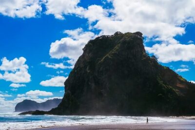 West Coast Discovery Tour - Arataki Visitor Centre: native trees, Maori background, and viewpoint time